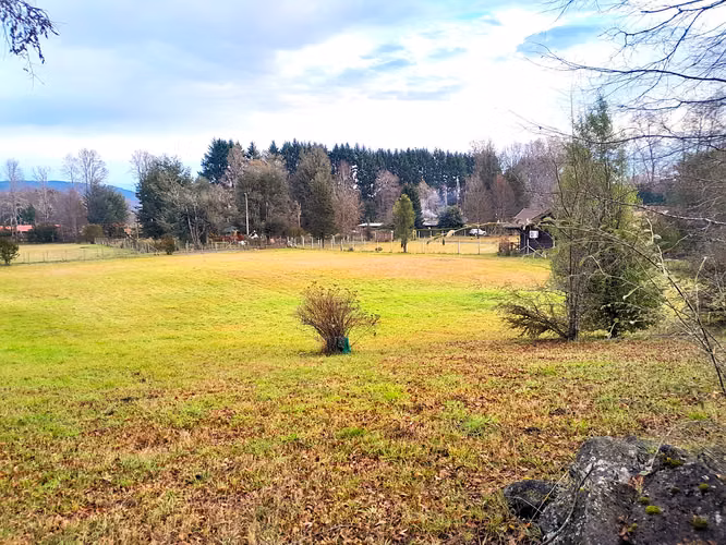 Parcela en Lomas de los Guindos, Villarrica, con alta plusvalía
