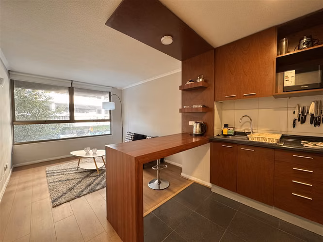 DEPARTAMENTO Alonso Ovalle - San Francisco. - Imagen 7