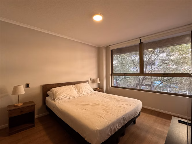 DEPARTAMENTO Alonso Ovalle - San Francisco. - Imagen 9