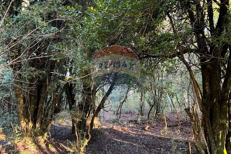 En venta casa en terreno en pucón
