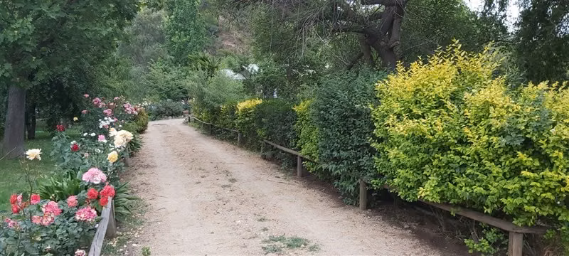 casa en parcela de 7.000 mts en San Javier cruce bobadilla