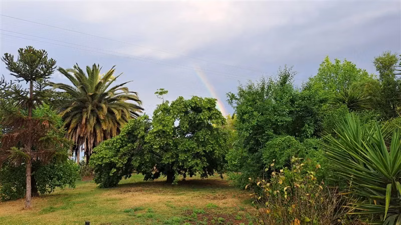 casa en parcela de 7.000 mts en San Javier cruce bobadilla