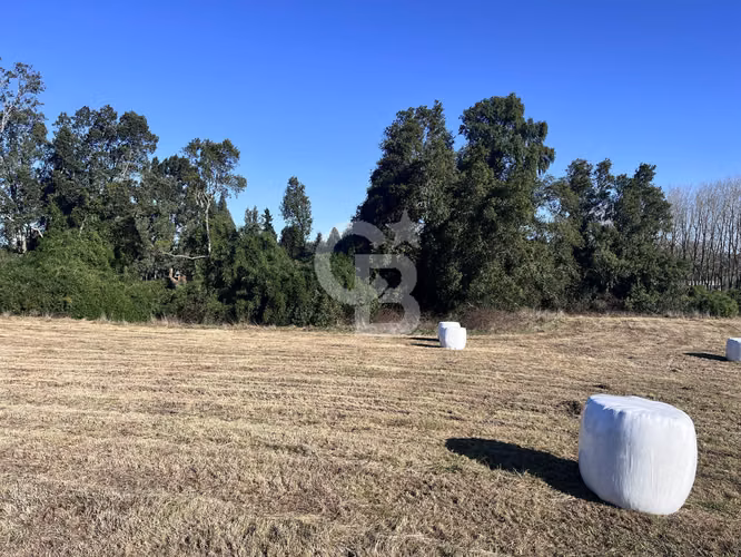 Hermoso campo con vista a volcanes.
