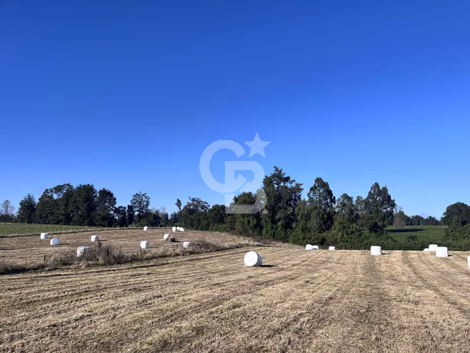 Hermoso campo con vista a volcanes.