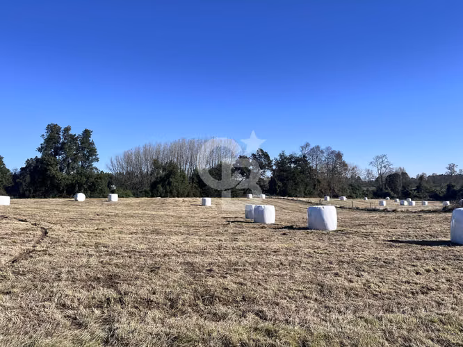 Hermoso campo con vista a volcanes.