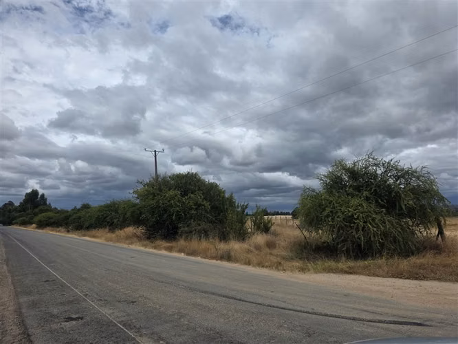 Parcela en venta en Linares camino a Palmilla