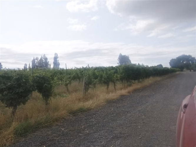 Parcela en venta en Talca Loteo el Carmen sector La Palmira
