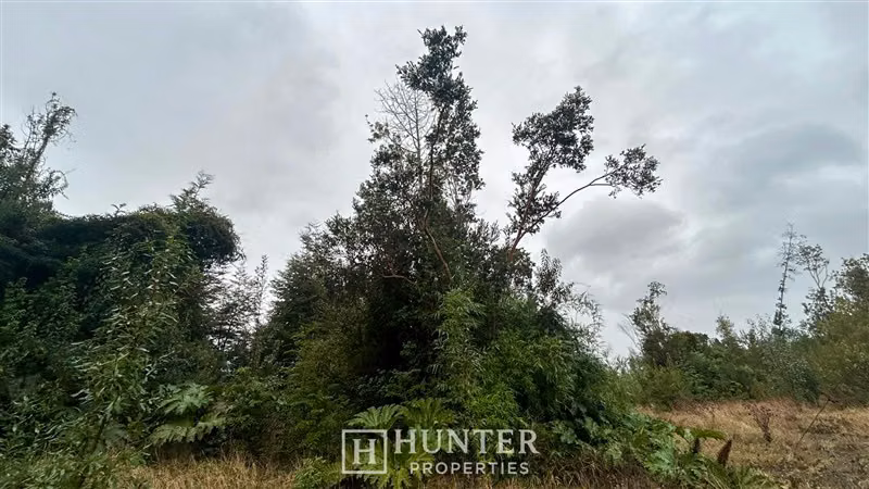 Parcela con vista volcanes en venta en Ensenada Puerto Varas