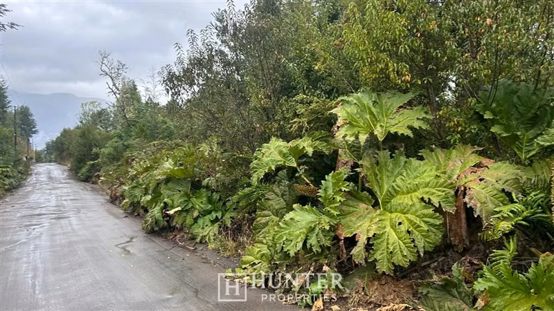 Parcela con vista volcanes en venta en Ensenada Puerto Varas