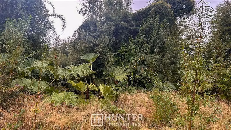 Parcela con vista volcanes en venta en Ensenada Puerto Varas