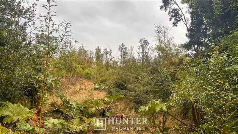 Parcela con vista volcanes en venta en Ensenada Puerto Varas