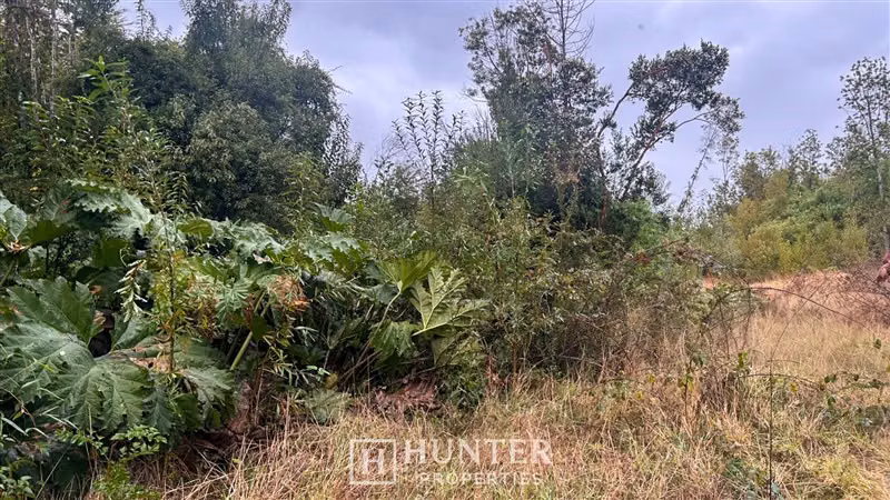 Parcela con vista volcanes en venta en Ensenada Puerto Varas