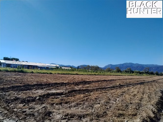 Inversión! Terreno en Venta, Pichidegua, VI Región