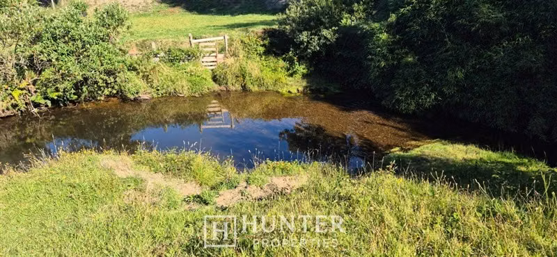 Parcela en venta con bosque y vista volcán en Puerto Montt