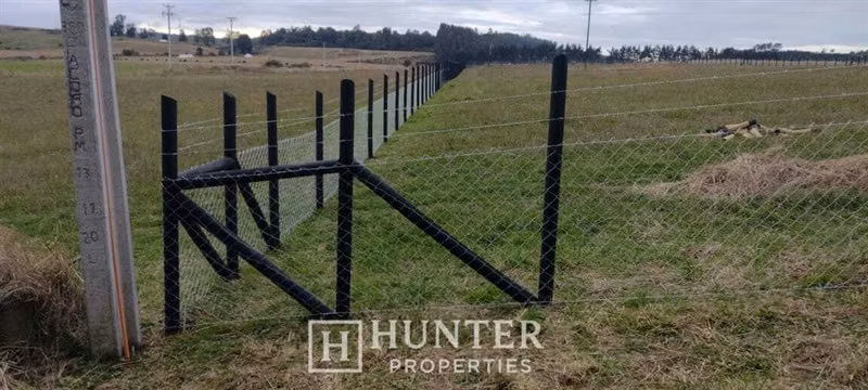 Parcela con vista al lago Llanquihue en venta en Frutillar