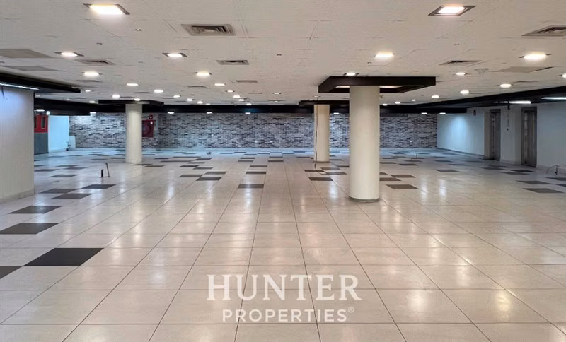Oficina en arriendo 7.972,9 m2 Renca / Sector Aeropuerto - Imagen 7