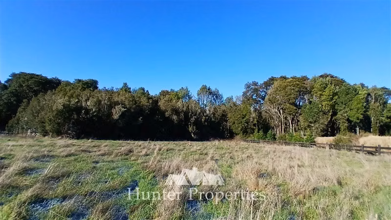 Parcela con pradera y vista volcán en venta en Puerto Varas