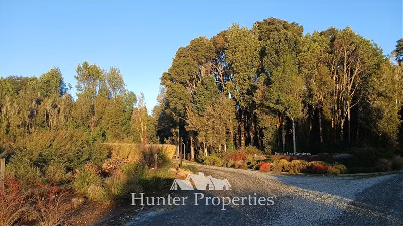 Parcela con pradera y vista volcán en venta en Puerto Varas