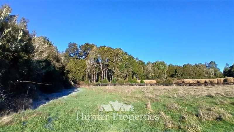 Parcela con pradera y vista volcán en venta en Puerto Varas