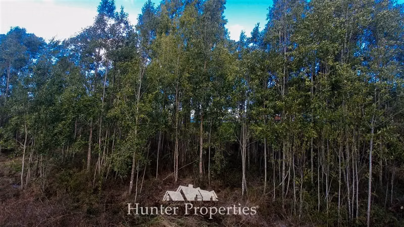Terreno en venta de 20.000/100mt a carretera en Puerto Montt