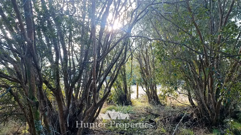 Terreno en venta de 20.000/100mt a carretera en Puerto Montt