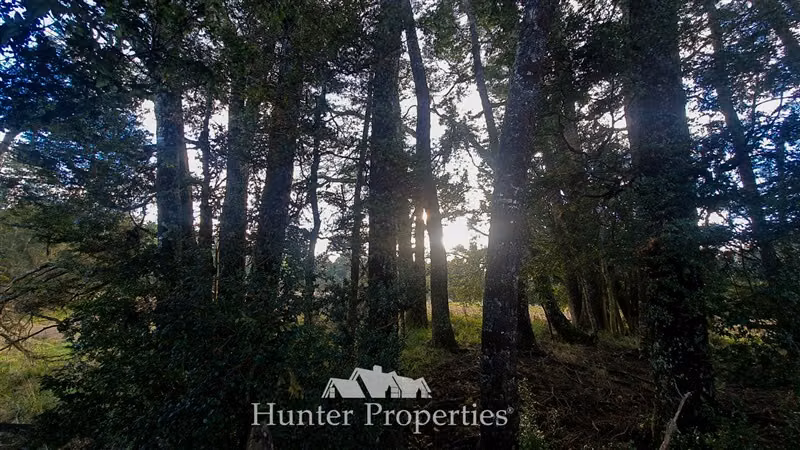 Terreno en venta de 20.000/100mt a carretera en Puerto Montt