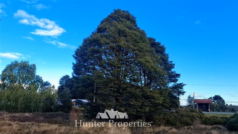 Sitio en venta de 20.000/100mt a carretera en Puerto Montt