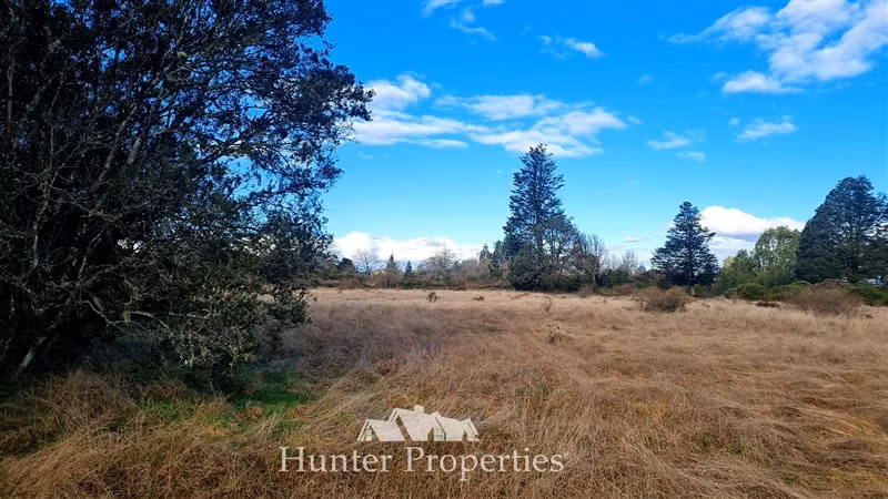Sitio en venta de 20.000/100mt a carretera en Puerto Montt