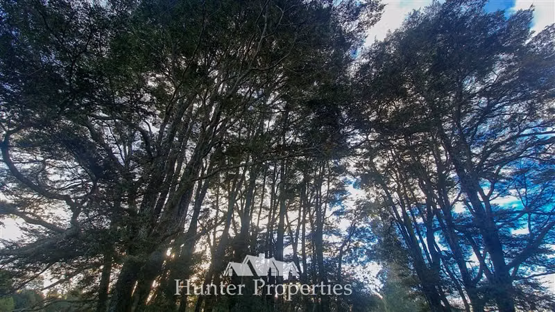 Sitio en venta de 20.000/100mt a carretera en Puerto Montt