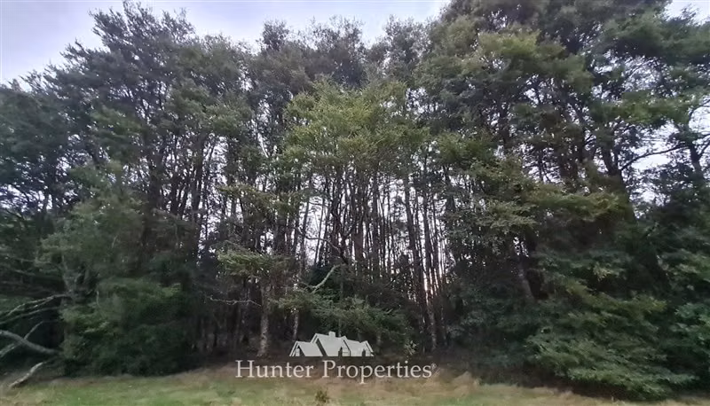Terreno Construccion en venta en Puerto Montt