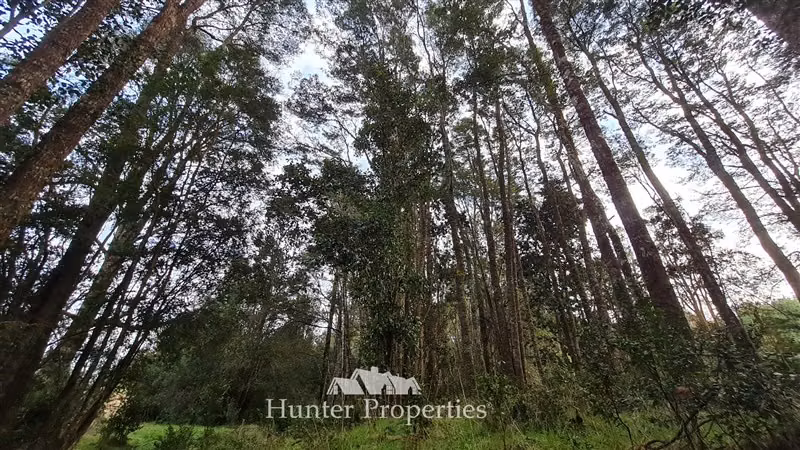 Terreno Construccion en venta en Puerto Montt