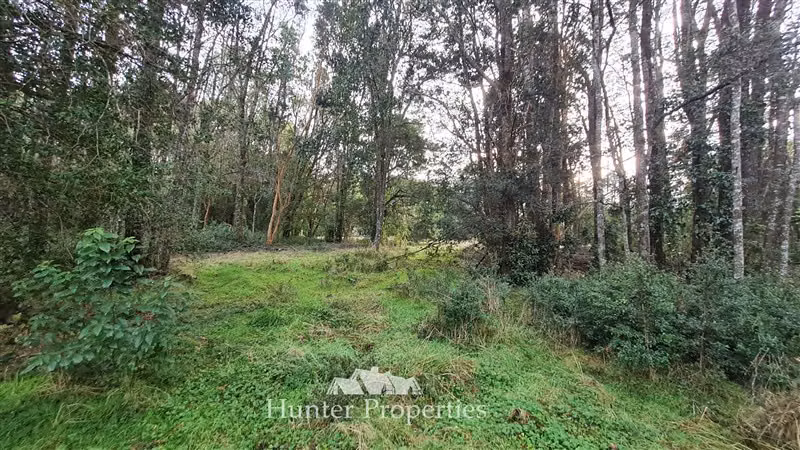Terreno Construccion en venta en Puerto Montt