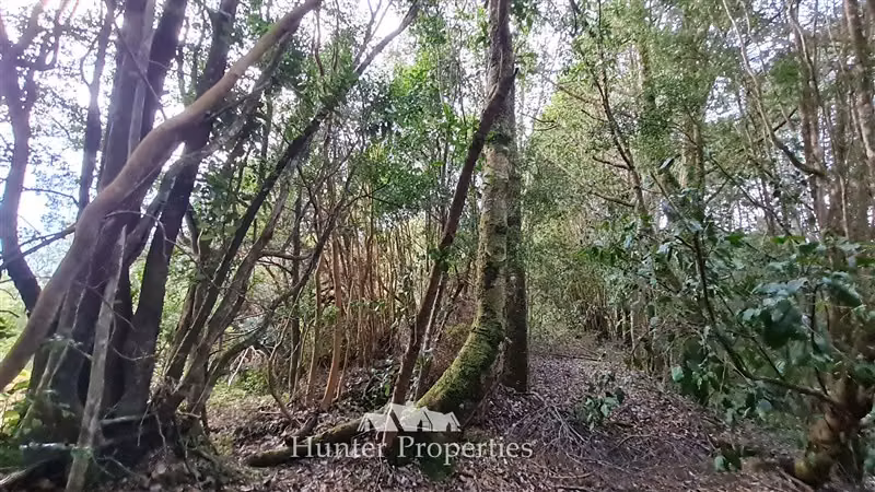 Terreno Construccion en venta en Puerto Montt