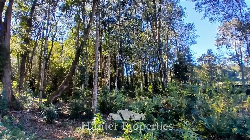 Parcela con vista al volcán Calbuco en venta en Puerto Varas