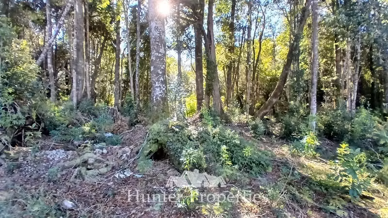 Parcela con vista al volcán Calbuco en venta en Puerto Varas