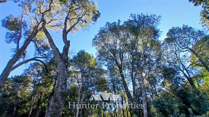 Parcela con vista al volcán Calbuco en venta en Puerto Varas