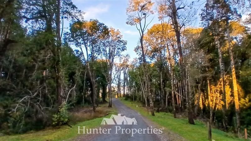 Parcela con bosque y vista volcanes en venta en Puerto Varas