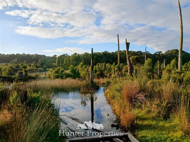 Parcela con bosque y vista volcanes en venta en Puerto Varas