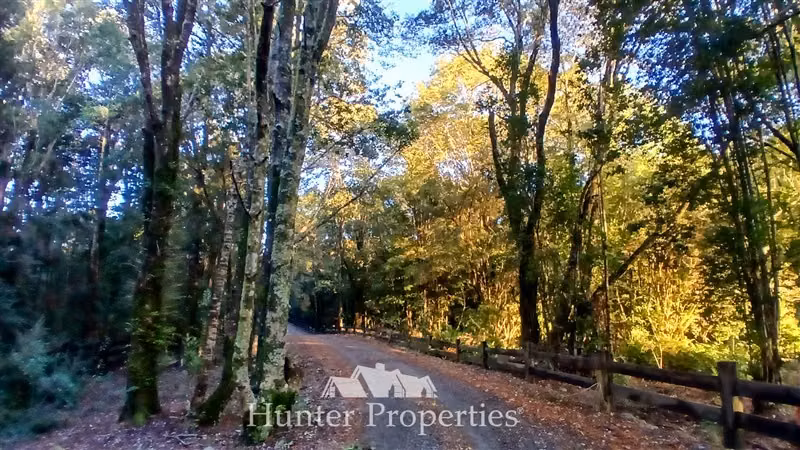 Parcela con bosque y vista volcanes en venta en Puerto Varas