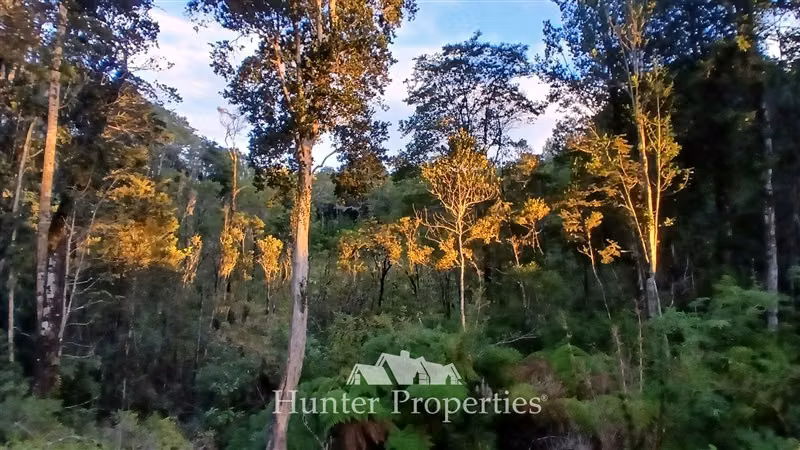 Parcela con bosque nativo y humedal en venta en Puerto Varas