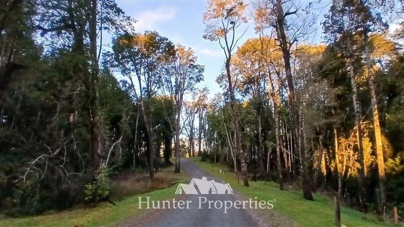 Parcela con bosque nativo y humedal en venta en Puerto Varas