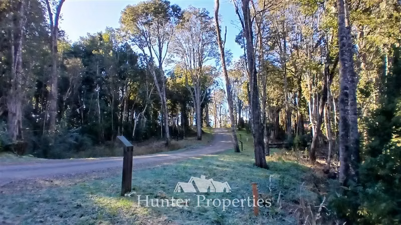 Parcela con bosque nativo y humedal en venta en Puerto Varas