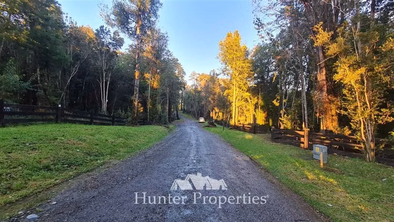 Parcela con bosque nativo y humedal en venta en Puerto Varas