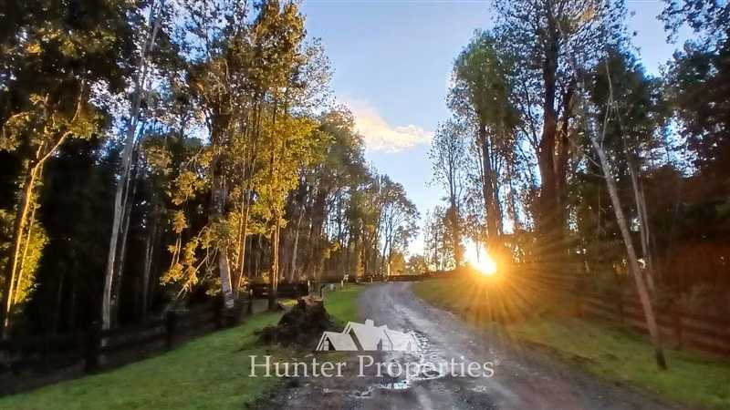 Parcela con bosque nativo y humedal en venta en Puerto Varas