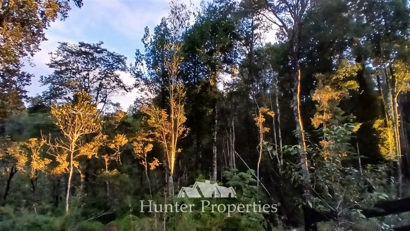 Parcela con bosque nativo y humedal en venta en Puerto Varas