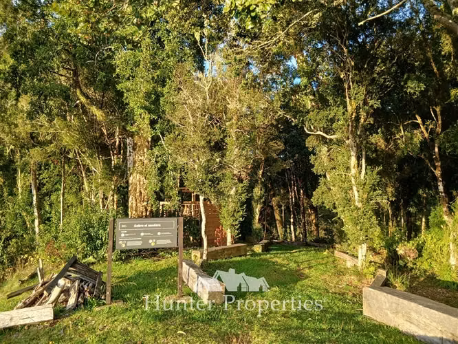 Parcela con vista a volcanes en venta en Puerto Varas