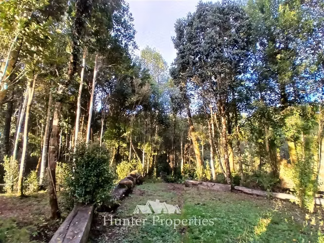 Parcela con laguna y bosque nativo en venta en Puerto Varas
