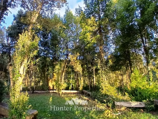 Parcela con laguna y bosque nativo en venta en Puerto Varas