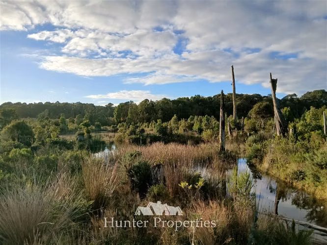 Parcela con laguna y bosque nativo en venta en Puerto Varas