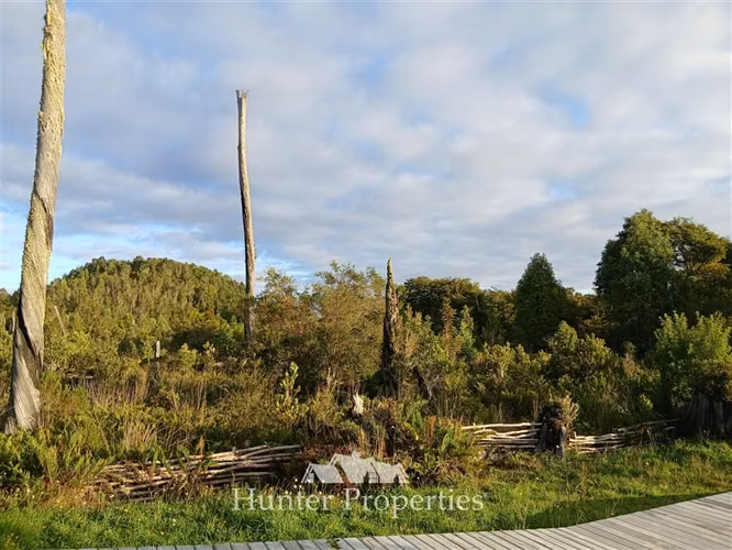 Parcela con laguna y bosque nativo en venta en Puerto Varas